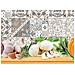Tappeto Passatoia Cucina Digitale Antimacchia Antiscivolo Spicies Cipolla Zucca 50x290 Spieces - Foto miniatura 2