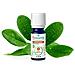 Ravintsara Bio 10ml Oli Essenziali Puressenziali - Foto miniatura 1