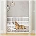 Cancello Per Cani Estensibile Da 72-107cm Montaggio A Pressione - Foto miniatura 8