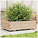 Fioriera Da Giardino 90x60x26,5 Cm In Legno Massello Di Pino - Foto miniatura 1