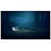 Little Nightmares II Enhanced Edition NSW2 Potenziato Inglese, Francese, ITA, Tedesca, ESP, Russo, POR-BRA, Coreano, Giapponese, Polacco, Arabo Nintendo Switch 2 - Foto miniatura 15
