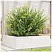 Fioriera Da Giardino Bianca 80x80x23 Cm Legno Massello Di Pino - Foto miniatura 1
