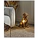 Lampada Da Tavolo Cane Marley Oro - Foto miniatura 1