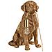 Lampada Da Tavolo Cane Marley Oro - Foto miniatura 2