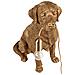 Lampada Da Tavolo Cane Marley Oro - Foto miniatura 3