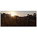 PS4 - Red Dead Redemption 2   - Foto miniatura 6
