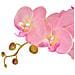 Orchidea Artificiale Con Vaso 75 Cm Rosa - Foto miniatura 2