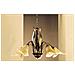 Lampadario 5 Luci In Metallo Marrone Spennellato Oro E Vetri Ambra Stile Classico - Foto miniatura 2