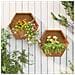 Fioriere Da Parete 2 Pz Ruggine In Acciaio Corten 46x10x40 Cm - Foto miniatura 4