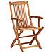 Set Da Pranzo Da Giardino 8 Posti Maui Premium Legno D \'acacia Verde Chiaro - Foto miniatura 6