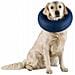 Collare Veterinario Gonfiabile - Taglia S - 34-31 Cm - - Foto miniatura 1