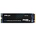 SSD 1 TB Serie CS2130 M. 2 Interfaccia PCIe - Foto miniatura 1