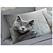 Completo Lenzuola In 100% Cotone Linea Digitale Spin-off Disegno Sleep Cat - Foto miniatura 3