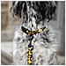 Collare Per Cani Leone - L - Foto miniatura 3