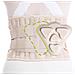 Cintura Sportiva Di Supporto Color Carne Con Compressione Beige M - Foto miniatura 1