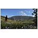 Kingdom Come Deliverance - Royal Edition - Game Of The Year Jeu Ps4 - Foto miniatura 5