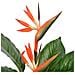 Strelitzia Artificiale Con Vaso Rosso 100 Cm - Foto miniatura 2