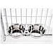 Porta Ciotole Per Box Cani Regolabile In Acciaio Inox Diametro Ciotole 24 Cm - Foto miniatura 2
