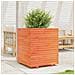 Fioriera Giardino Marrone Cera 60x60x72 Cm Legno Massello Pino - Foto miniatura 3
