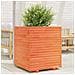 Fioriera Giardino Marrone Cera 60x60x72 Cm Legno Massello Pino - Foto miniatura 1