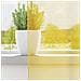 Tende In Voile Con Passanti 2 Pz Giallo 140x175 Cm - Foto miniatura 7