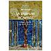 Jane Meredith - La Kabbalah incarnata, esperienza e pratica con l'Albero della vita - Foto miniatura 1
