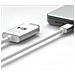 Cavo Usb-c A Displayport 2m 8k Ultra Hd Serie Pro Cavo, Grigio Chiaro - Foto miniatura 4