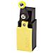 Ls-11s / rl Fine Corsa 400 V / ac 4 A Leva Ruotabile Momentaneo Ip67 1 Pz. - Foto miniatura 1