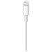 Cavo da Lightning a USB (1 m) - Foto miniatura 3