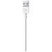 Cavo da Lightning a USB (1 m) - Foto miniatura 4