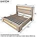 Letto In Lino Beige Con Testiera Alta, Led E Vano Contenitore - Foto miniatura 3