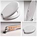 Copriwater Ideal Standard Small Bianco Euro Cerniera Cromo-sedile-asse Wc - Foto miniatura 3