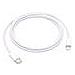 USB-C to Lightning Cable - Cavo Lightning - USB-C (M) a Lightning  - Foto miniatura 1