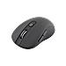 WM-911B mouse Universale Ambidestro RF Wireless Ottico 1600 DPI - Foto miniatura 1