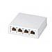 4-port Outlet Without Moduls 4 x RJ-45 Bianco cavo di interfaccia e adattatore - Foto miniatura 1