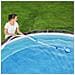 Aspiratore Automatico Flowclear Aquasweeper - Foto miniatura 1