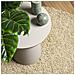 Tappeto Shaggy PAMPLONA a Pelo Lungo Moderno Oro Ø 160 cm - Foto miniatura 7