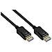 DP20-010 cavo DisplayPort 1 m Nero - Foto miniatura 1