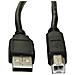 AK-USB-04 cavo USB 1,8 m USB 2.0 USB A USB B Nero - Foto miniatura 2