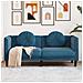 Divano a 2 Posti con Cuscini Blu in Velluto - Foto miniatura 2