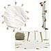 Cmp Tappeto Rotondo In Cotone Beige Con Nappe - 90 Cm M6 - Foto miniatura 1