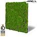 Pannelli Acustici Modulabili In Flora Sintetica Ultrarealistica 52x52cm Mod. Forest Green Bulk - Foto miniatura 1