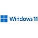 Pro N Sistema Operativo per Workstation - Foto miniatura 1