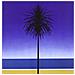 Metronomy - The English Riviera - Foto miniatura 1