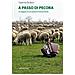 Caterina De Boni - A passo di pecora. Il viaggio di una pastora transumante - Foto miniatura 1