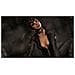 PC - Batman Arkham City Game Of The Year Edition - Foto miniatura 5