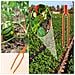 Clip Di Supporto Per Piante - Proteggi Le Tue Piante Da Giardino Red - Foto miniatura 4