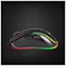 Egm303 Mouse Destro Usb Type-c Ottico 2400 Dpi - Foto miniatura 3