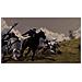PC - Il Signore degli Anelli Online: Riders of Rohan - Foto miniatura 2