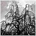 Colin Stetson & Sarah Neufeld - Never Were The Way She Was - Foto miniatura 1